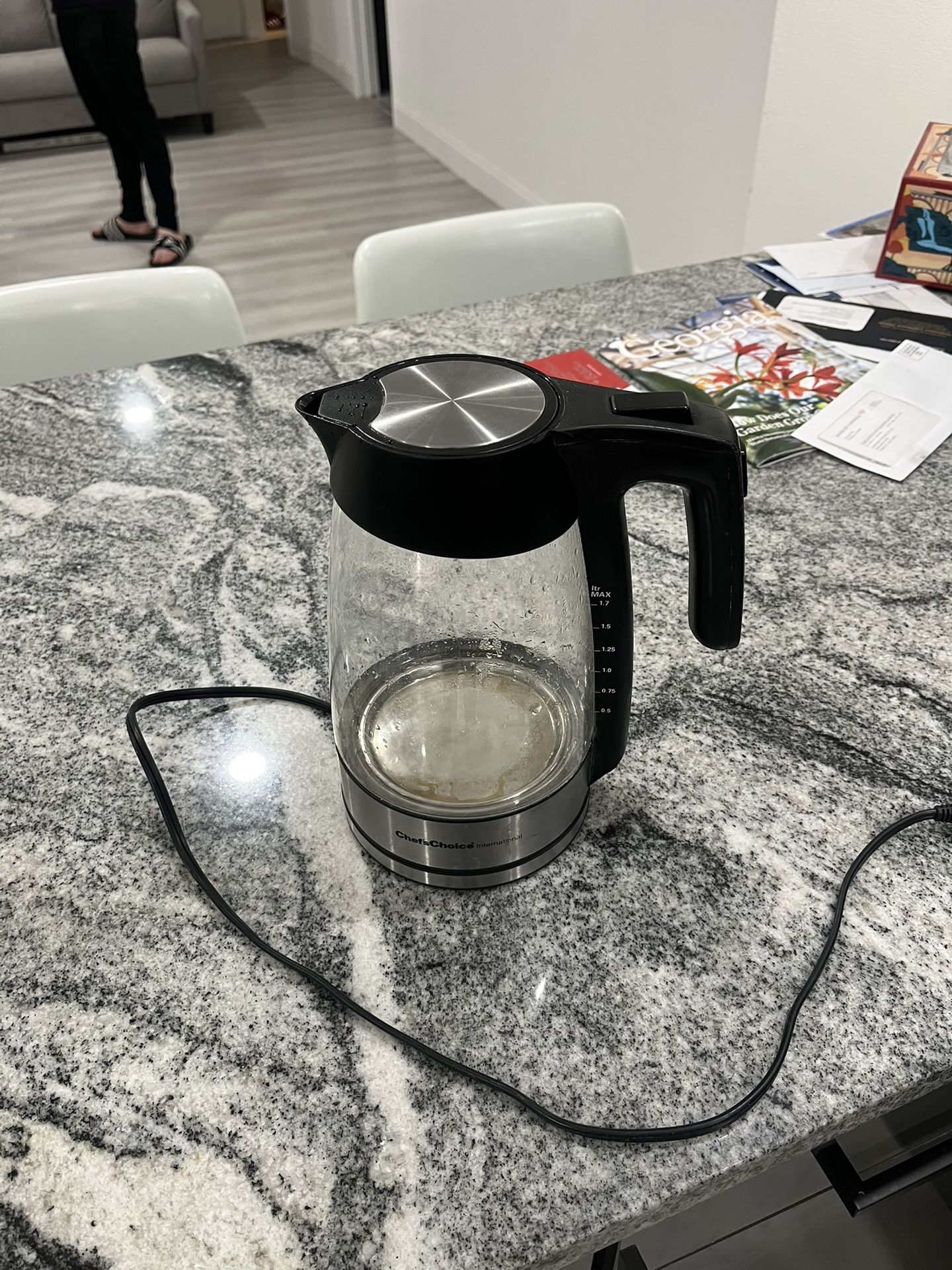Electric Kettle
