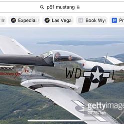 P 51 Mustang kite