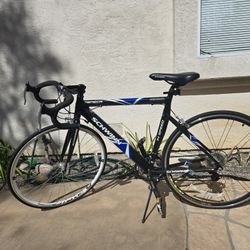 Used Schwinn Seneca 700c 14 Speed Road Bike