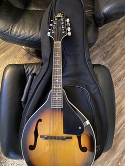 Rogue Mandolin Very Nice W-case