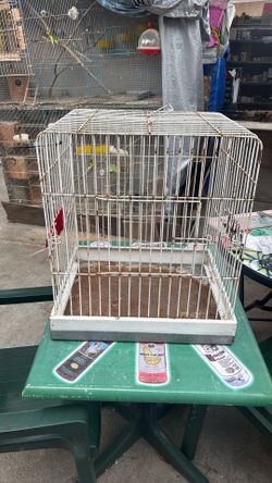 PARROT CAGE