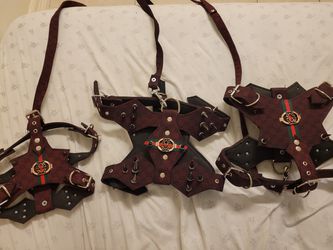 Gucci dog harness and leash for Sale in Fullerton, CA - OfferUp