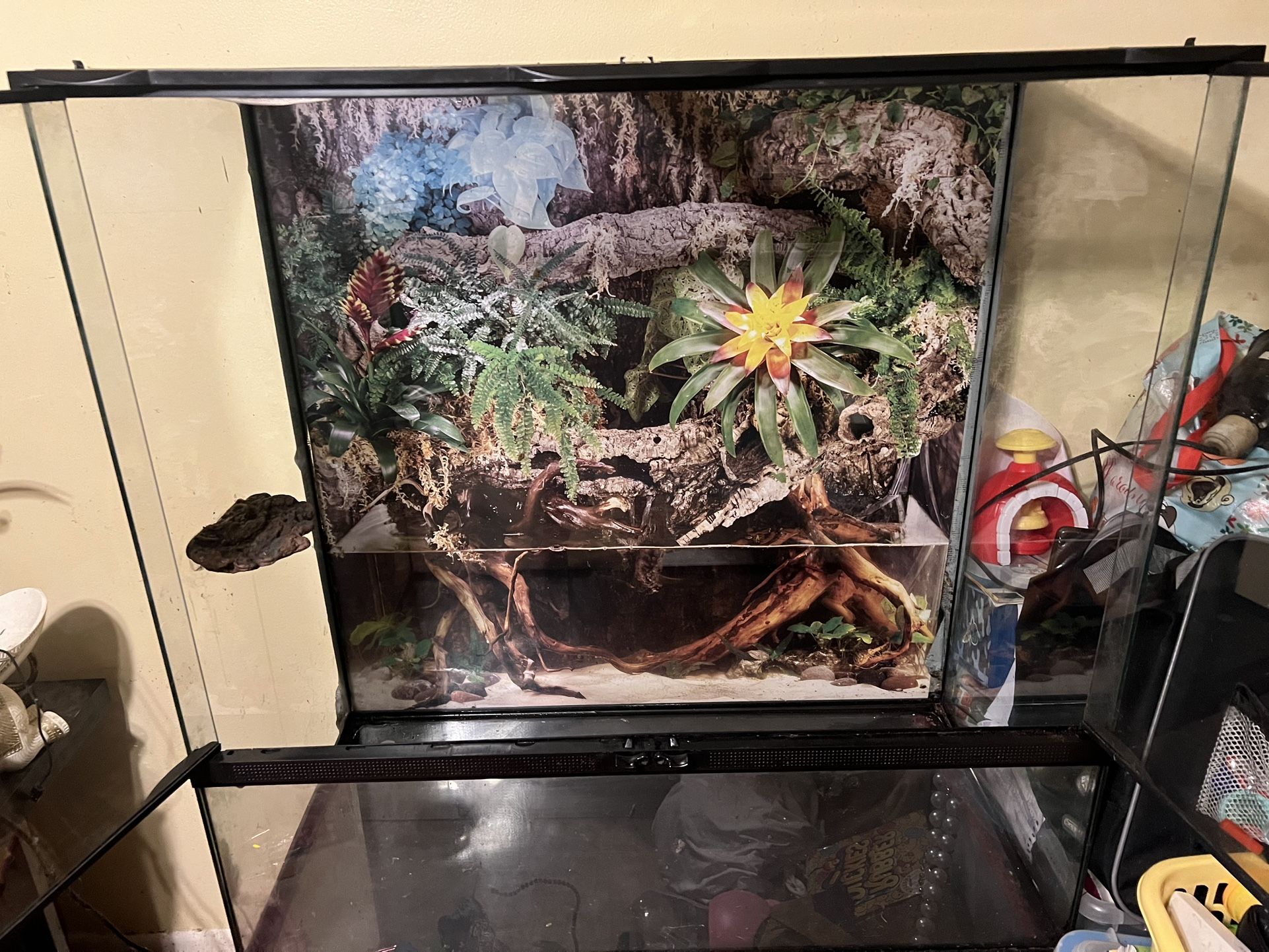 Reptile\ Amphibian Tank