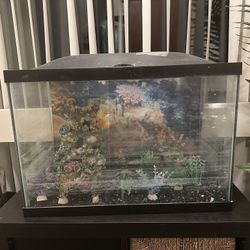 🐠 20-GALLON AQUARIUM SETUP – NEEDS A LITTLE TLC! 🧽