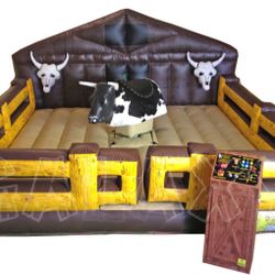 Bull Ride For Sale