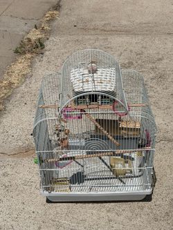 Bird Cage