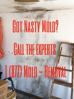 Got Nasty mold ?
