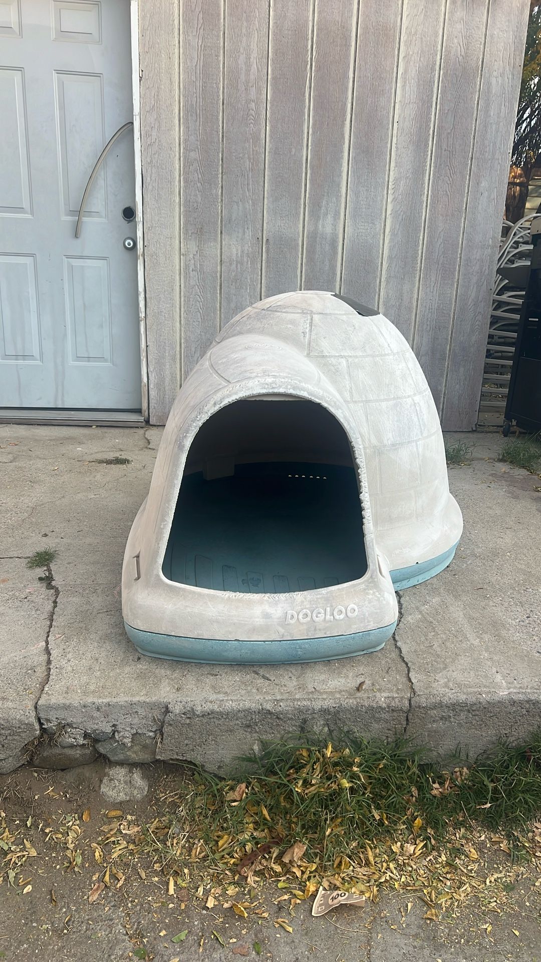 Dog House