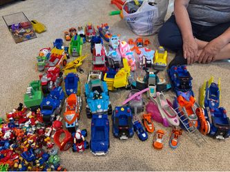 Huge Paw Patrol lot