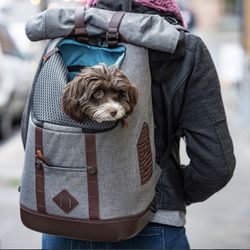 Kurgo Small Dog Backpack Rucksack