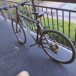 Giant Roam 700 Tires