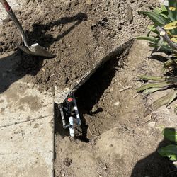 Sprinklers And Drain 