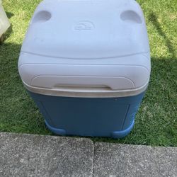Igloo Cooler