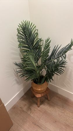 Plant with stool decoration