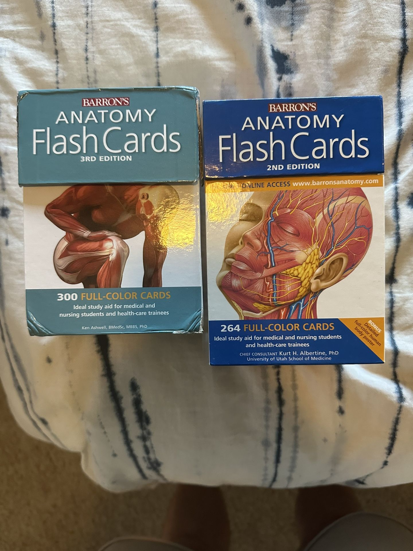Anatomy Flash Card Set
