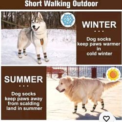 Dog Socks Outdoor Or Indoor By BEAUTYZOO Size Medium - New