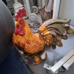 Rooster 