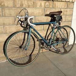 Univega Custom Maxima Road Bike