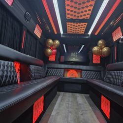 🚐 Luxury Black Party Bus – Seats 12-15  🚐