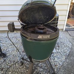 1 Big Green Egg Large With Joe Tissere And Pizza Stone And Cart 