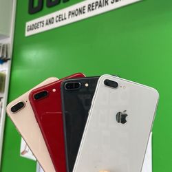 $50 Initial Payment Only Not Interest