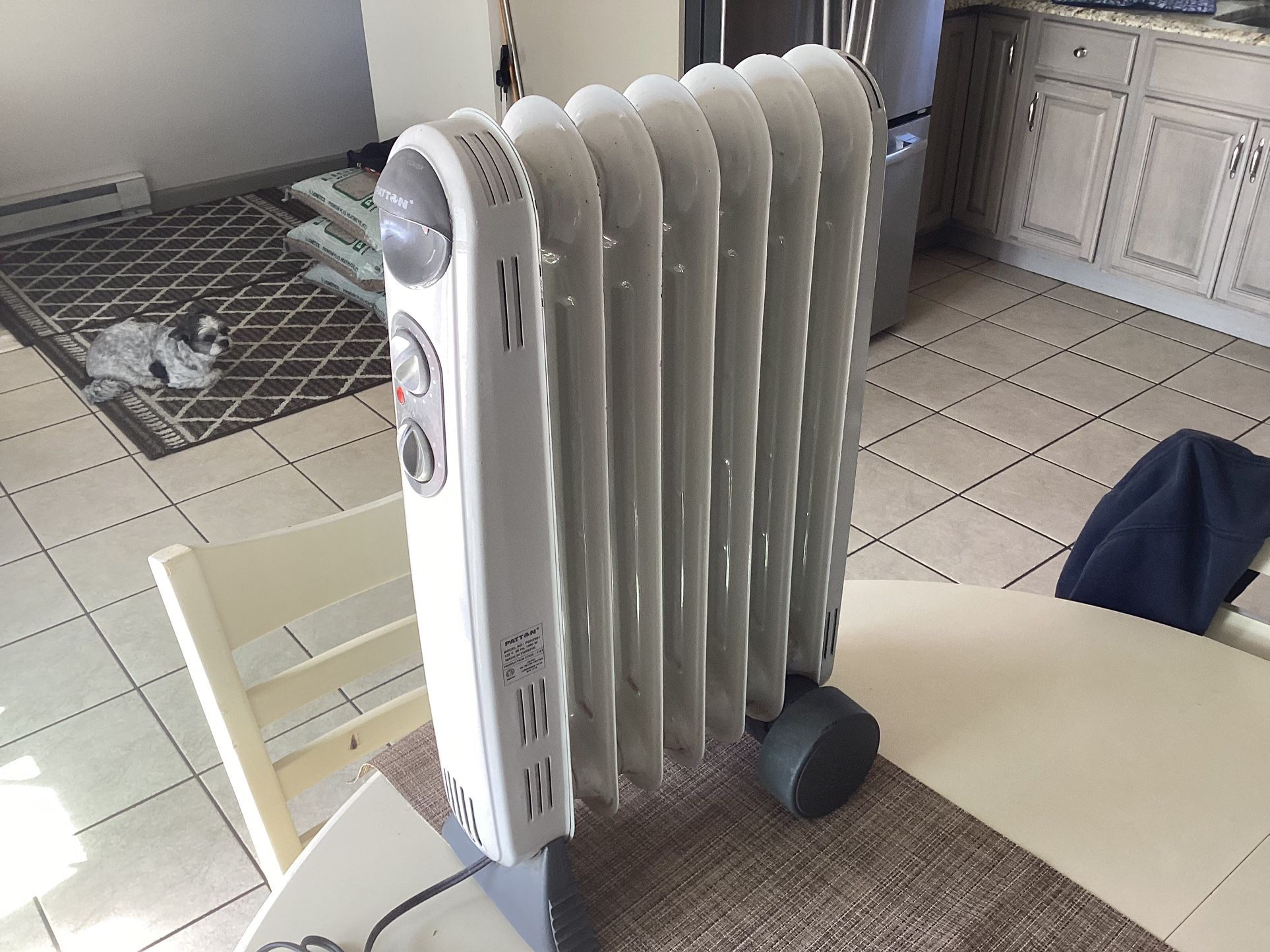 Portable Patton Electric Space Heater