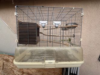 Bird Cage