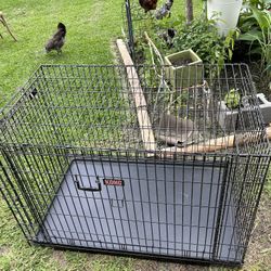 Dog Kennel