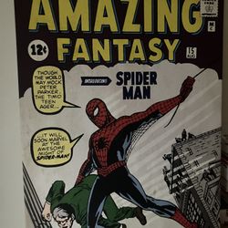 Spider Man Poster 