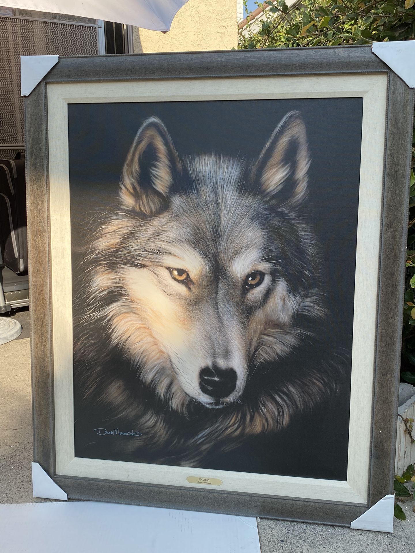 Wolf Art by Dave Merrick “Indigo”
