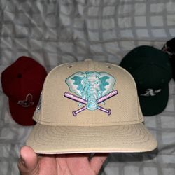 Fitted Hat