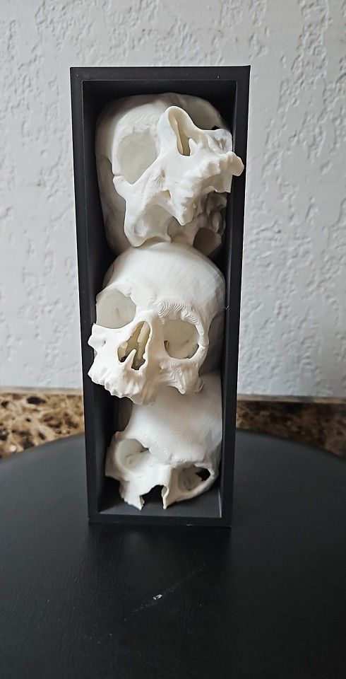 Skulls Book Nook