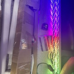 Whip Lights Set 4ft 