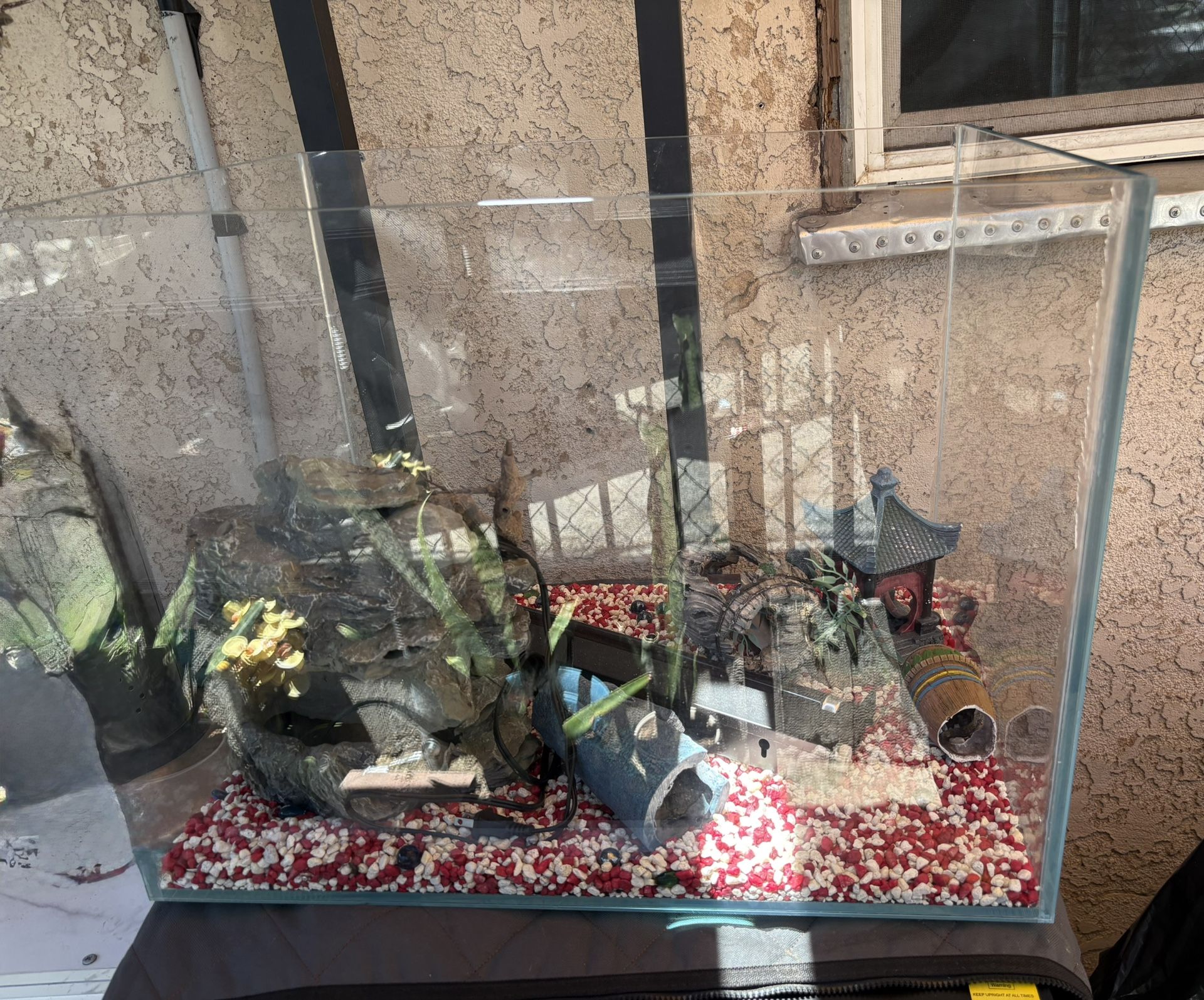 Large Fish Tank