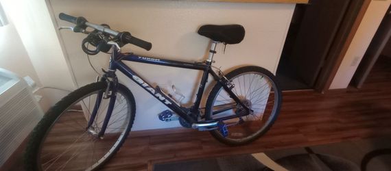 Giant mountain bike