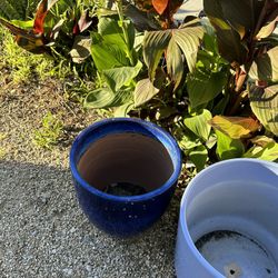 High Quality Plant Pots 