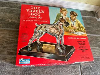 Vintage Renwal Model The Visible Dog 1961  Boxer Complete W Box Halloween