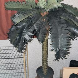 Plant
