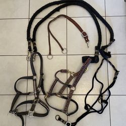 Horse Lot Of Used Items:  2 Nylon Halters, 1 Rope Halter, 1 Leather Training Fork & 2 Cross Ties