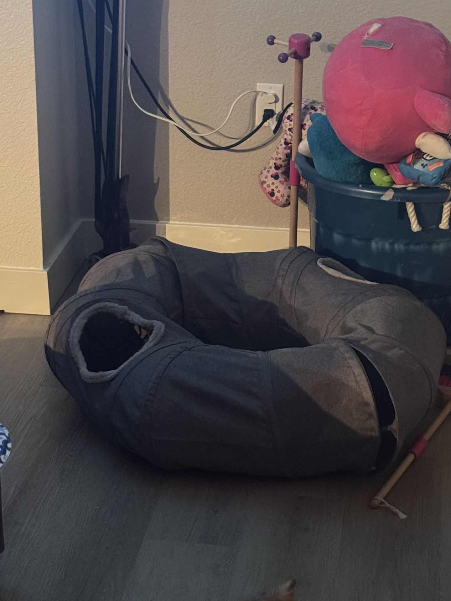 Cat Tunnel