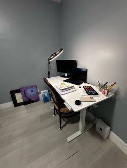 Standup Desk (5 month)