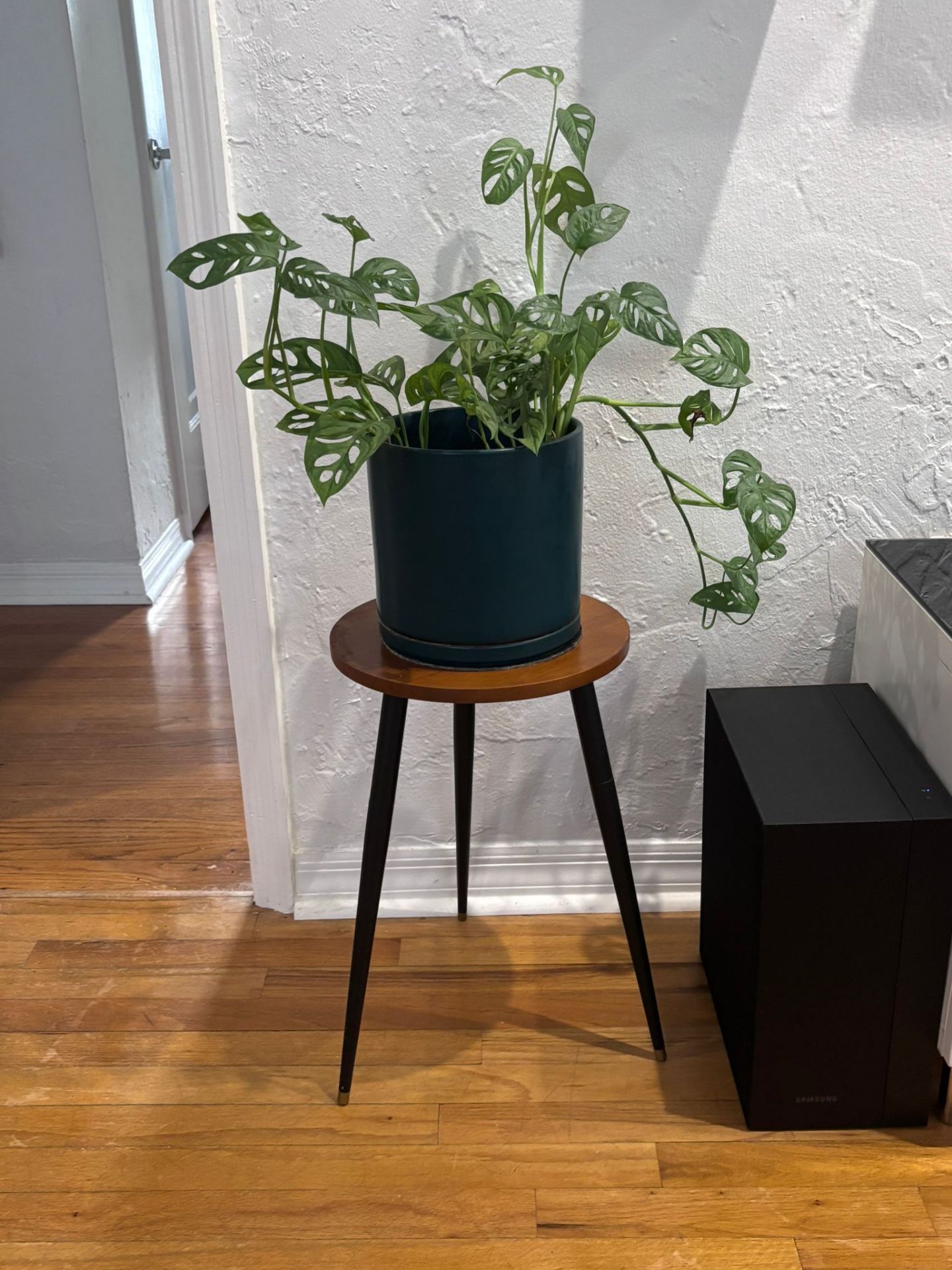 Walnut and black metal stool for plants