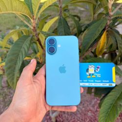 iPhone 16