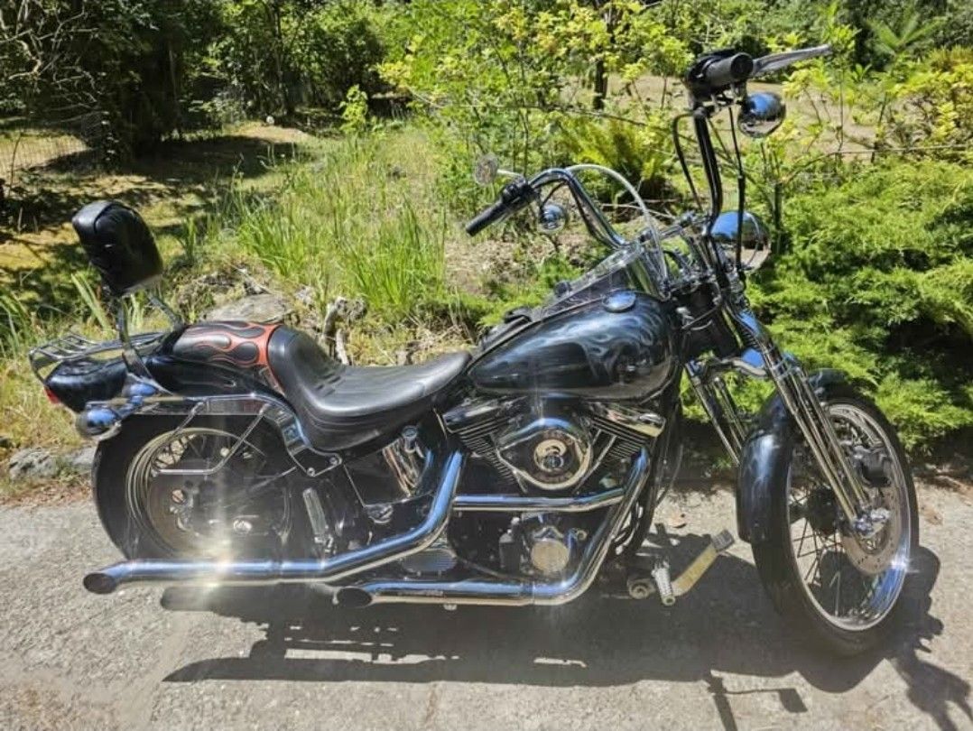 1998 Harley-Davidson Springer Softail