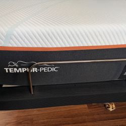 Tempur-Pedic Twin Mattress – $350