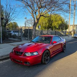 2004 Terminator Cobra 