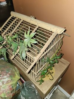 Vintage Birdcage 