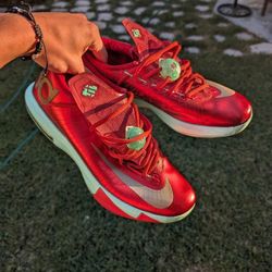 KD 6 CHRISTMAS SIZE 11
