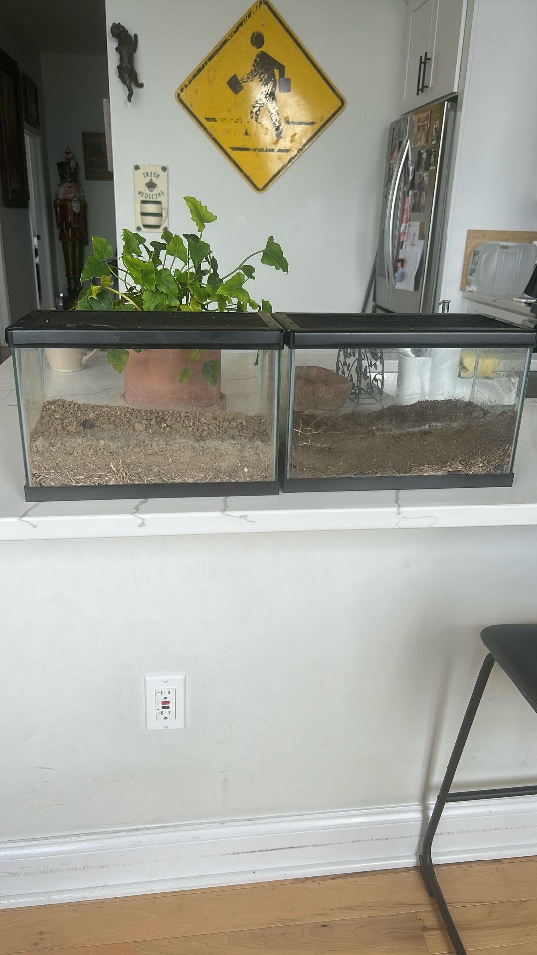 2 - 10-gallon glass aquarium tank for terrariums/aquariums