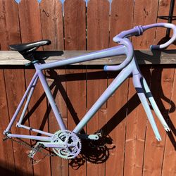 Carbon Fiber Fixed Gear Bike Frame